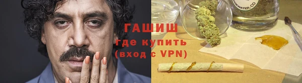 прущие грибы Балахна