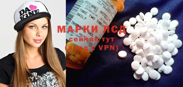 прущие грибы Балахна