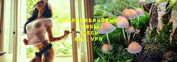 трава Баксан